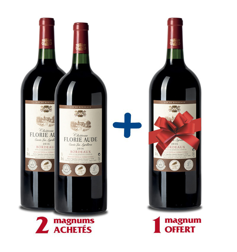 Lot de 3 Magnums Florie Aude 2016 Lot de 3 Magnums Florie Aude 2016