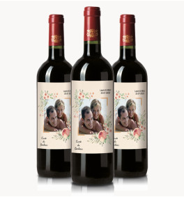 Saint-Emilion 2020 - 3 bouteilles