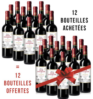 Château Tour d’Eyquem 2020
